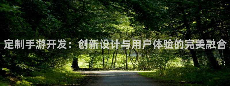 恩佐娱乐手机登录：定制手游开发：创新设计与用户体验的完美融合