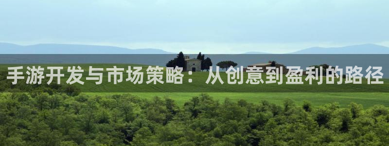 恩佐娱乐手机版最新功能介绍大全：手游开发与市场策略：从创意到