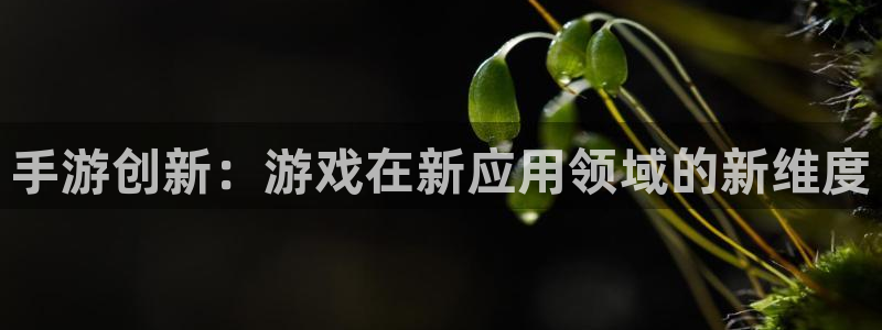恩佐娱乐：手游创新：游戏在新应用领域的新维度