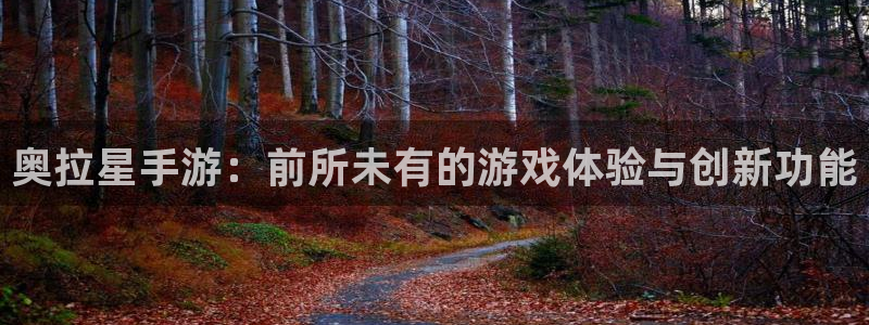 恩佐娱乐：奥拉星手游：前所未有的游戏体验与创新功能