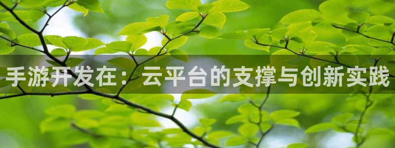 恩佐娱乐平台正规吗可靠吗