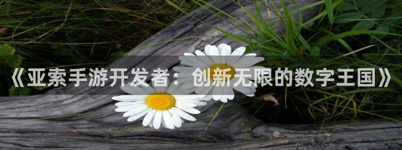恩佐娱乐手机版最新功能介绍视频