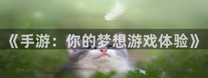 恩佐娱乐手机登录：《手游：你的梦想游戏体验》