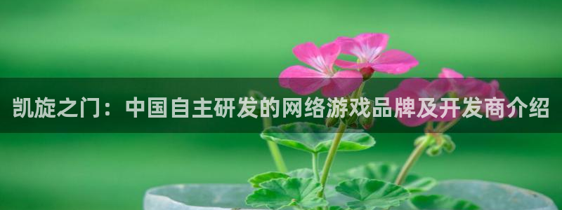 恩佐娱乐1：凯旋之门：中国自主研发的网络游戏品牌及开发商介绍