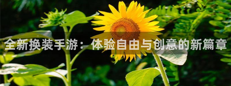 恩佐娱乐官方注册：全新换装手游：体验自由与创意的新篇章
