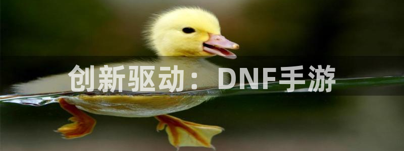 恩佐娱乐平台正规吗知乎：创新驱动：DNF手游