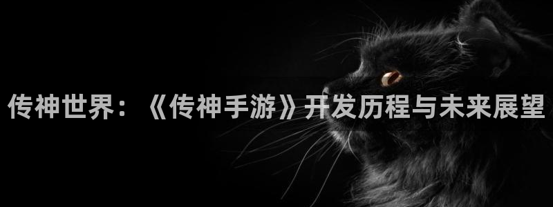 恩佐娱乐1：传神世界：《传神手游》开发历程与未来展望