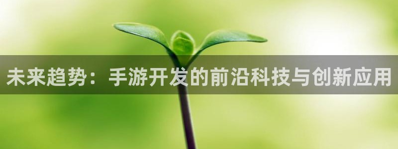 恩佐娱乐手机版最新功能介绍大全：未来趋势：手游开发的前沿科技