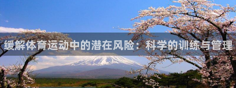 oety欧亿
