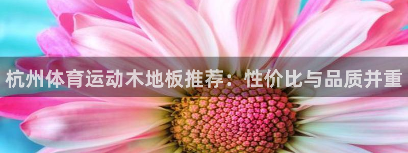 oety欧亿