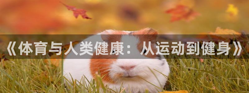 oety欧亿