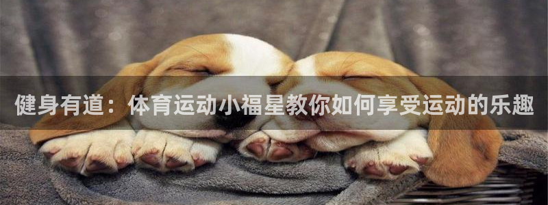oety欧亿