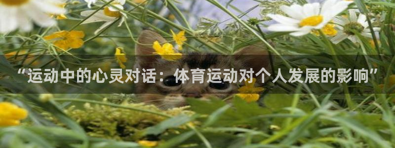 oety欧亿